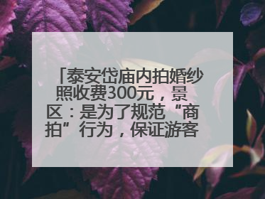 泰安岱庙内拍婚纱照收费300元，景区：是为了规范“商拍”行为，保证游客体验，收取费用全部上交国库