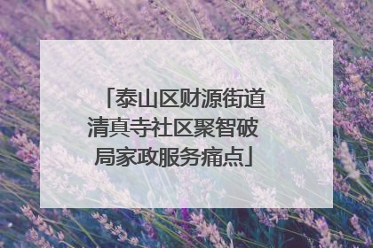 泰山区财源街道清真寺社区聚智破局家政服务痛点