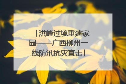 洪峰过境重建家园——广西柳州一线防汛抗灾直击
