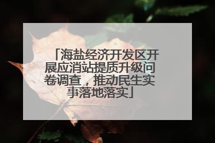 海盐经济开发区开展应消站提质升级问卷调查，推动民生实事落地落实