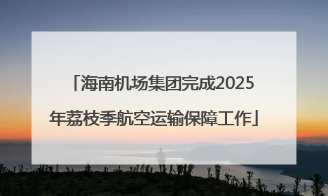 海南机场集团完成2025年荔枝季航空运输保障工作