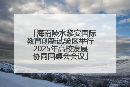 海南陵水黎安国际教育创新试验区举行2025年高校发展协同圆桌会会议