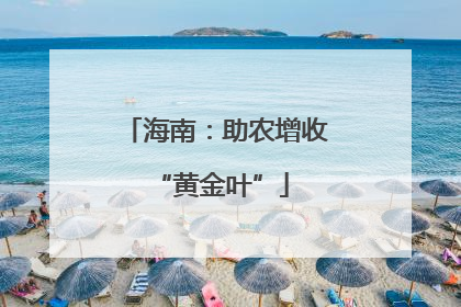 海南：助农增收 “黄金叶”
