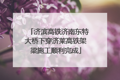 济滨高铁济南东特大桥下穿济莱高铁架梁施工顺利完成