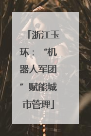 浙江玉环：“机器人军团”赋能城市管理