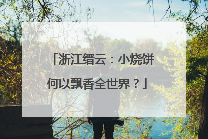 浙江缙云：小烧饼何以飘香全世界？