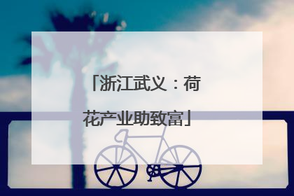 浙江武义：荷花产业助致富