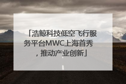 浩鲸科技低空飞行服务平台MWC上海首秀，推动产业创新
