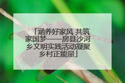 涵养好家风 共筑家国梦——房县沙河乡文明实践活动凝聚乡村正能量