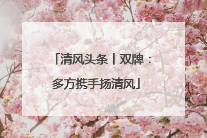 清风头条丨双牌：多方携手扬清风