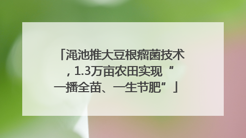 渑池推大豆根瘤菌技术，1.3万亩农田实现“一播全苗、一生节肥”