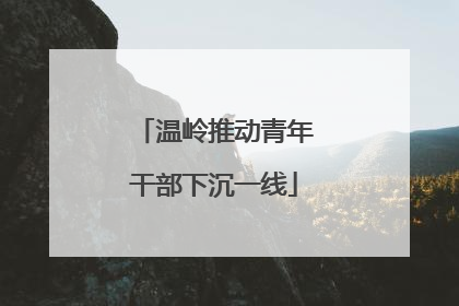 温岭推动青年干部下沉一线