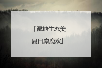 湿地生态美 夏日麋鹿欢