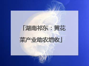 湖南祁东：黄花菜产业助农增收