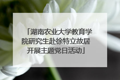 湖南农业大学教育学院研究生赴徐特立故居开展主题党日活动