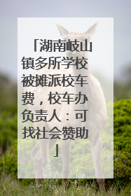 湖南岐山镇多所学校被摊派校车费，校车办负责人：可找社会赞助