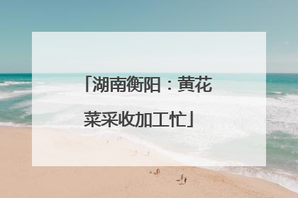 湖南衡阳：黄花菜采收加工忙