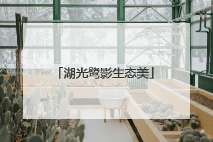 湖光鹭影生态美