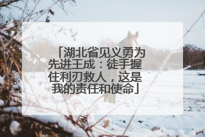 湖北省见义勇为先进王成：徒手握住利刃救人，这是我的责任和使命