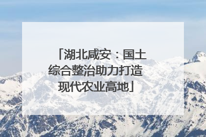 湖北咸安：国土综合整治助力打造现代农业高地