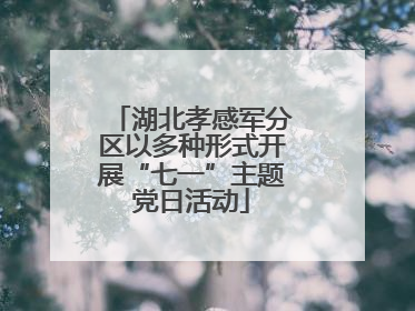湖北孝感军分区以多种形式开展“七一”主题党日活动
