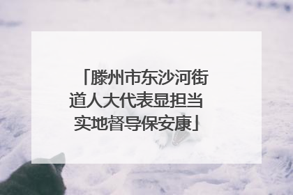 滕州市东沙河街道人大代表显担当实地督导保安康