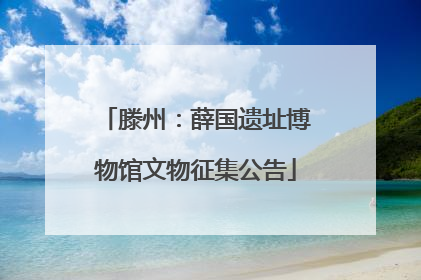 滕州：薛国遗址博物馆文物征集公告
