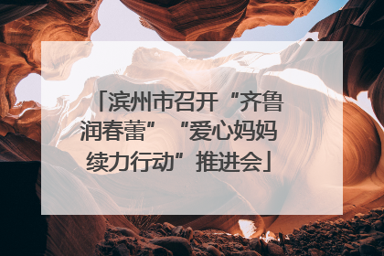 滨州市召开“齐鲁润春蕾”“爱心妈妈续力行动”推进会