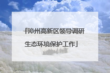 漳州高新区领导调研生态环境保护工作