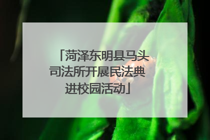菏泽东明县马头司法所开展民法典进校园活动
