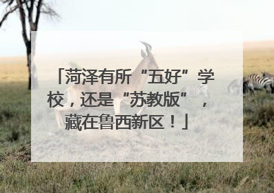 菏泽有所“五好”学校，还是“苏教版”，藏在鲁西新区！