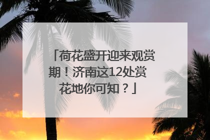 荷花盛开迎来观赏期！济南这12处赏花地你可知？