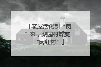 老屋活化引“凤”来，梨园村蝶变“网红村”