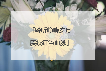 聆听峥嵘岁月 赓续红色血脉