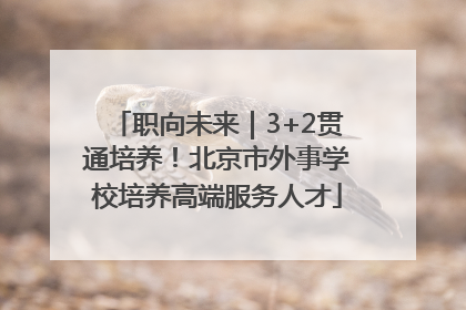 职向未来｜3+2贯通培养！北京市外事学校培养高端服务人才
