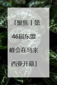聚焦丨第46届东盟峰会在马来西亚开幕