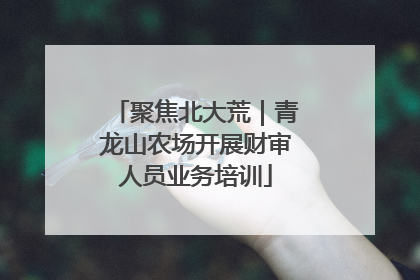 聚焦北大荒｜青龙山农场开展财审人员业务培训