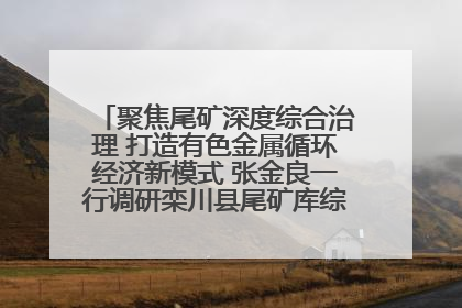 聚焦尾矿深度综合治理 打造有色金属循环经济新模式 张金良一行调研栾川县尾矿库综合治理工作