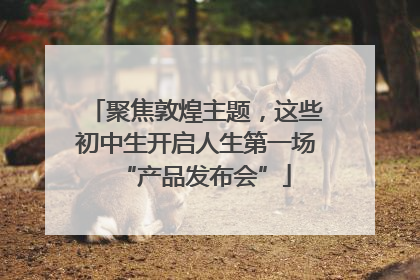 聚焦敦煌主题，这些初中生开启人生第一场“产品发布会”