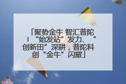 聚势金牛 智汇普陀〡“始发站”发力、“创新田”深耕，普陀科创“金牛”闪耀