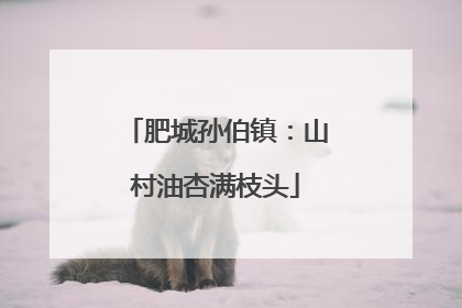 肥城孙伯镇：山村油杏满枝头