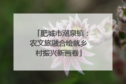 肥城市潮泉镇：农文旅融合绘就乡村振兴新画卷