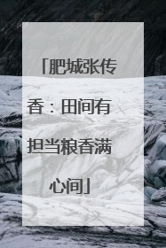 肥城张传香：田间有担当粮香满心间