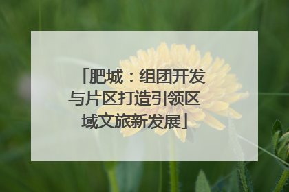 肥城：组团开发与片区打造引领区域文旅新发展