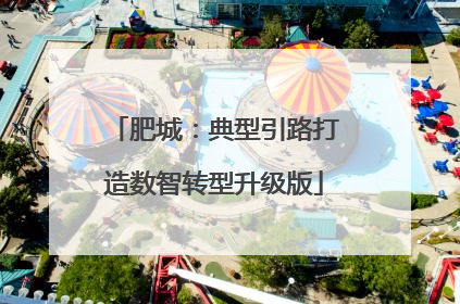 肥城：典型引路打造数智转型升级版