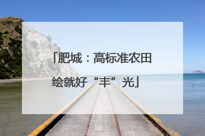 肥城：高标准农田绘就好“丰”光