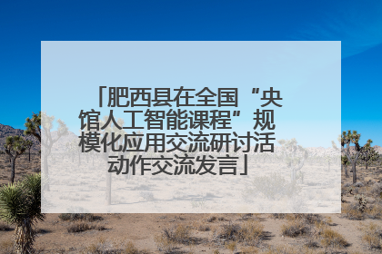 肥西县在全国“央馆人工智能课程”规模化应用交流研讨活动作交流发言