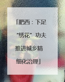 肥西：下足“绣花”功夫 推进城乡精细化治理