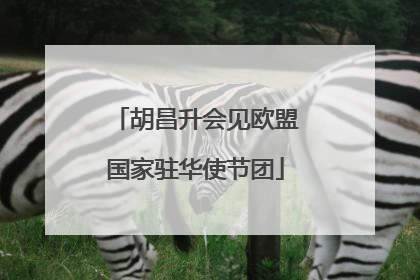 胡昌升会见欧盟国家驻华使节团