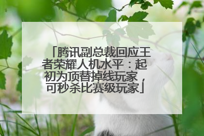 腾讯副总裁回应王者荣耀人机水平：起初为顶替掉线玩家，可秒杀比赛级玩家
